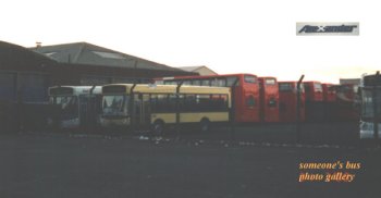 Buses in Alexander