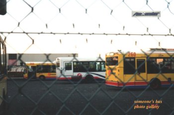 Buses in Alexander