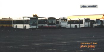 Buses in Alexander