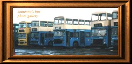 CMB's buses