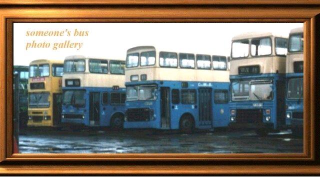 CMB's buses